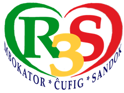 Le Réseau Sandock Solidaire dans le Social (R3S)